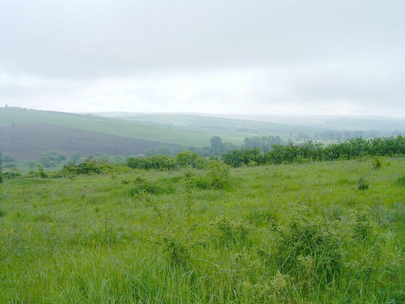 2010.05.08 (007).jpg